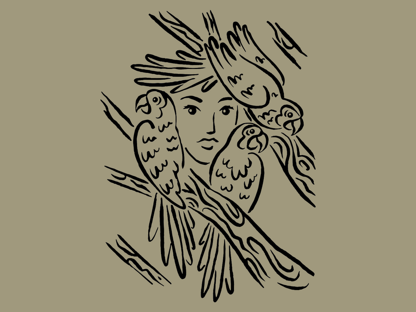 Jungle Spirit: Telephone Call of bush